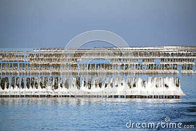 Icy wooden posts in ocean Stock Photo