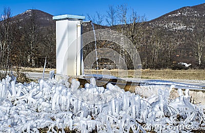 Icycles on the branches of tree during daytime Stock Photo