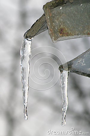 Icycles Stock Photo