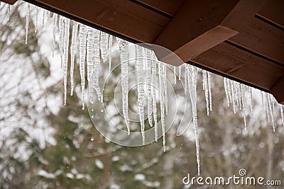 Icycles Melting in Winter Stock Photo