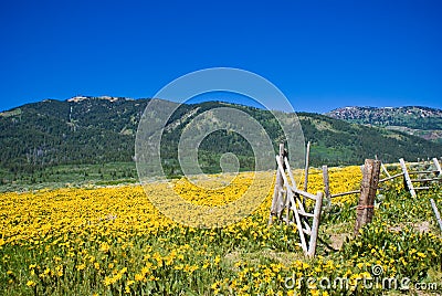 Idaho Mountains in June Stock Photo