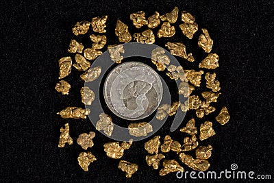 Idaho Placer Gold Nuggets Stock Photo