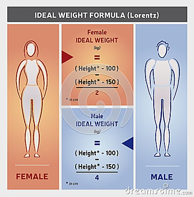 Ideal Weight Formula Illustration with Female and Male Silhouettes Vector Illustration