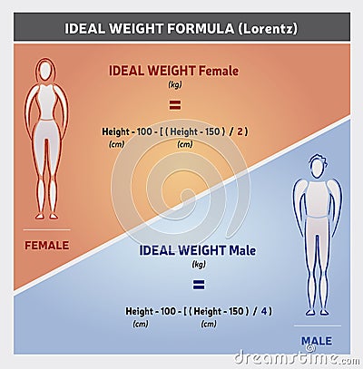 Ideal Weight Formula Illustration with Female and Male Silhouettes Vector Illustration