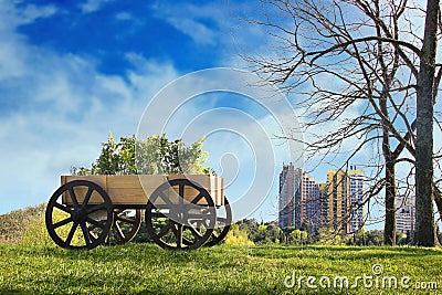 Ideas for garden - plants in waggon Stock Photo