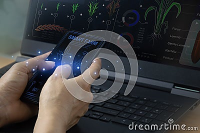 Ideas for using AI and smart farming Productivity increase and production control, data storage on the cloud system Stock Photo
