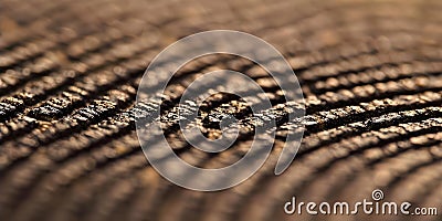 Identity Verification and Forensic Analysis: A Macro Shot of Two Fingerprints. Concept Biometric Stock Photo