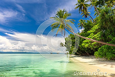 Idillyc landscape of tropical beach - calm ocean, palm trees, blue sky Stock Photo