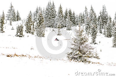 Iditarod Trail Sled Dog Race winter background Editorial Stock Photo