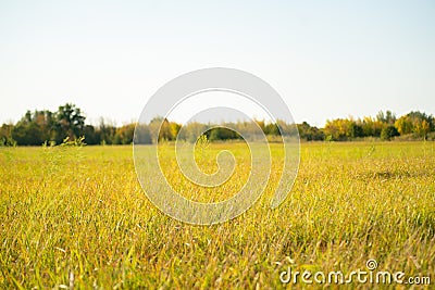 Idylic summer field with grass panorama, nature landscapes Stock Photo
