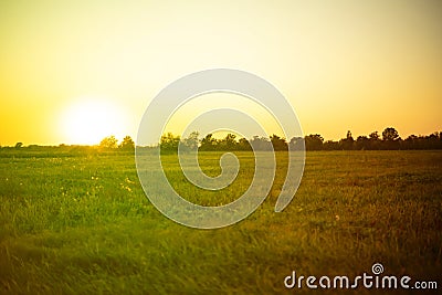 idylic summer field with grass panorama, nature landscapes during sunset Stock Photo