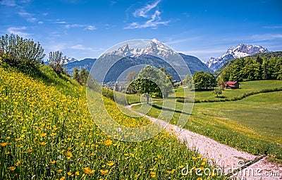 Idyllic alpine landscape with green meadows, farmhouses and snowcapped mountain tops Stock Photo