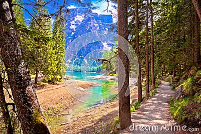 Idyllic Alpine walkway by Pragster Wildsee lake Stock Photo