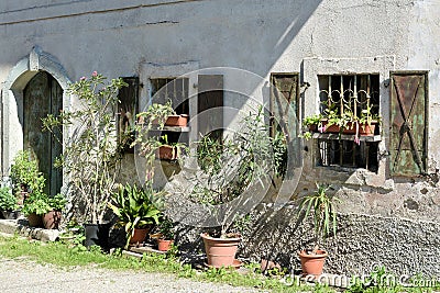 Idyllic backyard Stock Photo