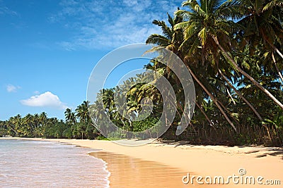 Idyllic beach. Sri Lanka Stock Photo