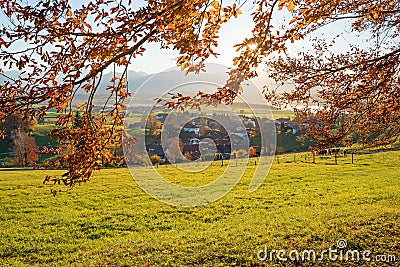 Idyllic destination rural villag Aidling, beech branches with autumnal leaves, bavaria Stock Photo