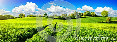 Idyllic green fields with vibrant blue sky Stock Photo