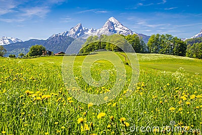 Idyllic landscape in the Alps with green meadows and flowers Stock Photo