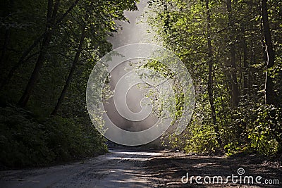 Idyllic landscape, but the danger lurks with forest Stock Photo