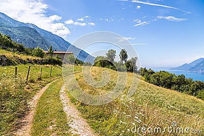 Idyllic landscape in the mountains: Trekking path, meadow, forest and a beautiful view Stock Photo