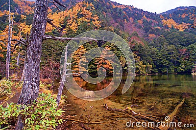 Myojin pond at Hotaka Rear Shrine in Kamikochi, Nagano, Japan. Stock Photo