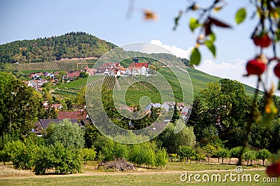 Idyllic landscape with vineyard and farming village in southern Germany Stock Photo