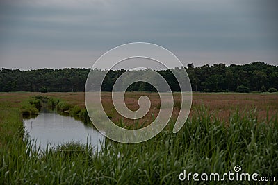 Idyllic landscape on the Zingst peninsula in the `Vorpommersche Boddenlandschaft` national park Stock Photo