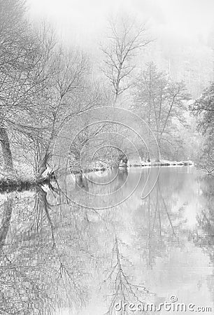 Idyllic misty snowy monochrome riverside with old trees reflecting on the water, Stock Photo