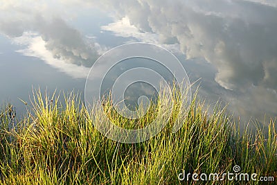 Idyllic nature background Stock Photo