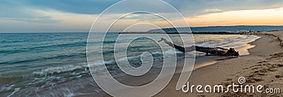 Idyllic panoramic view with the old tree at the beach Stock Photo