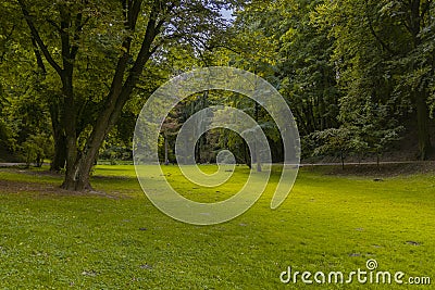 Idyllic peaceful park outdoor nature scenic spring time environment green grass meadow smooth ground surface surrounded by trees f Stock Photo