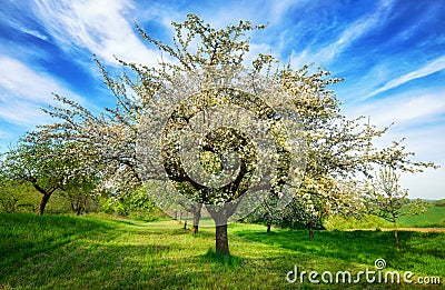 Idyllic rural landscape at springtime Stock Photo