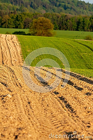 Idyllic rural view of beautiful farmland in the beautiful surroundings of the Iron Mountains Stock Photo