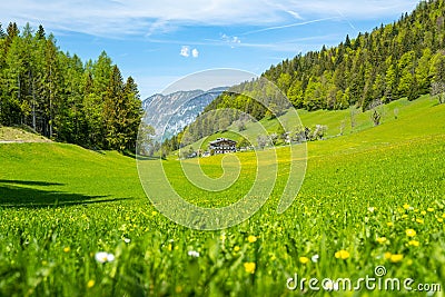 Idyllic spring landscape in Scheffau, Hinterseiner See, Tyrol, Austria, Europe Stock Photo