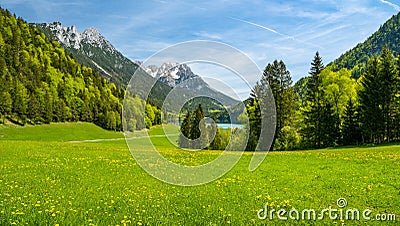 Idyllic spring landscape in Scheffau, Hinterseiner See, Tyrol, Austria, Europe Stock Photo