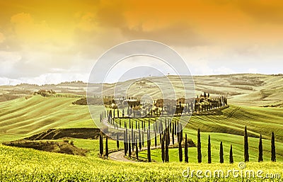 IDYLLIC TUSCANY LANDSCAPE WITH CYPRESS TREES. TOP ATTRACTION IN ITALY. FAMOUS TRIP DESTINATION Stock Photo