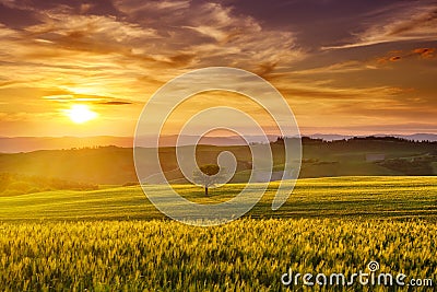 Idyllic view, foggy Tuscan hills in light of the rising sun Stock Photo