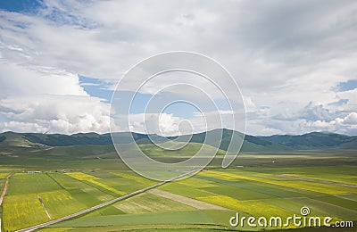 Idyllic view of lentils flowering in the Pian Grande during spring day of june, Umbria, Italy Stock Photo