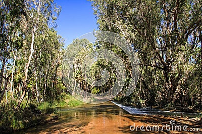 Gregory Downs Rivercrossing, Savannah Way, Queensland, Australia Stock Photo