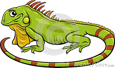 Iguana animal cartoon illustration Vector Illustration