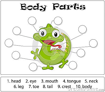 Iguana body parts Vector Illustration