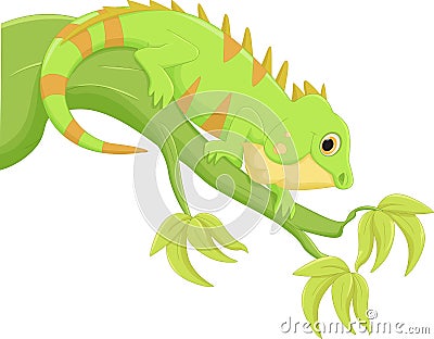 Iguana cartoon Vector Illustration