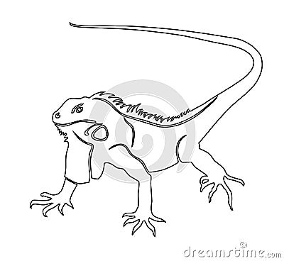Iguana. Coloring book illustration Vector Illustration