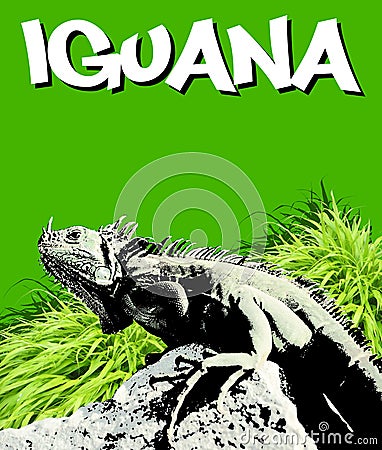 Iguana Cartoon Illustration