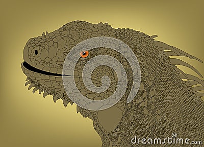 Iguana head Vector Illustration