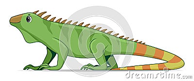 Iguana lizard animal standing on a white background Vector Illustration