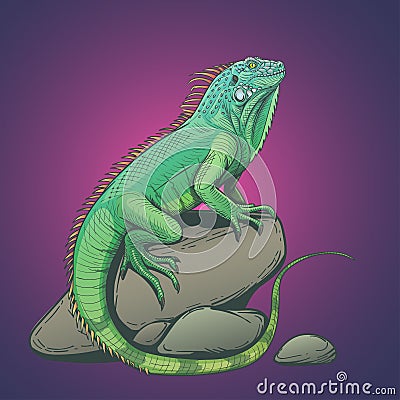 Iguana lizard on a stone illustration Cartoon Illustration