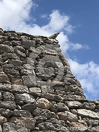 A grey iguana basks in the sunshine of a Mayan pyramid Stock Photo