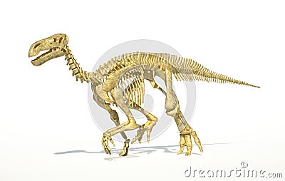 iguanodon skeleton