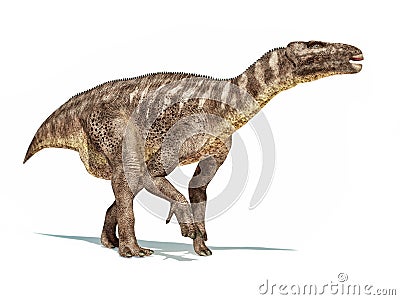 Iguanodon dinosaur isolated on white background Stock Photo